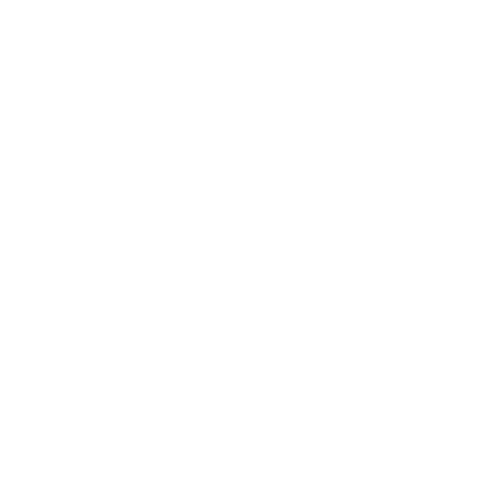ARCFOX